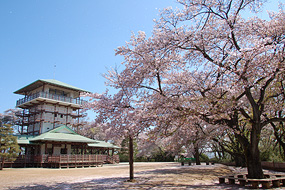 枡形山広場と展望台の様子