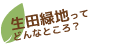 生田緑地ってどんなところ？