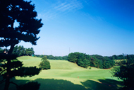 川崎国際生田緑地ゴルフ場
