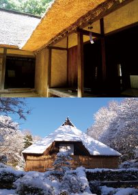 企画展示 暑さ寒さも彼岸まで