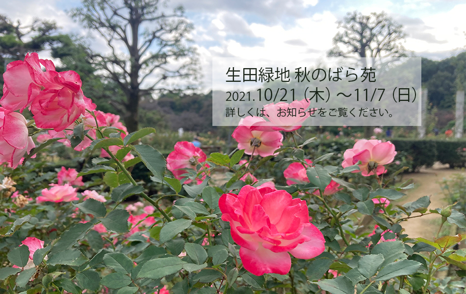 生田緑地公式ホームページ