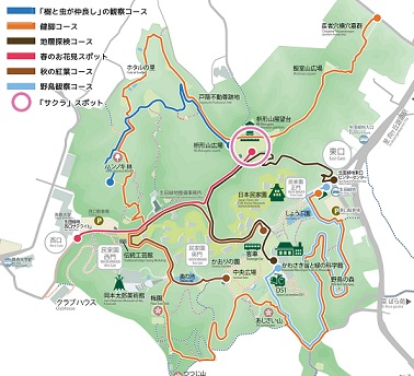 おすすめマップサムネイル